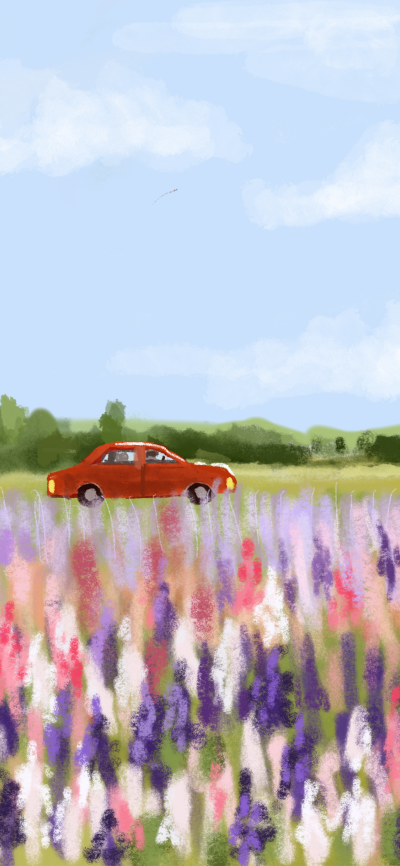 出去走走
图片来自网络，侵删