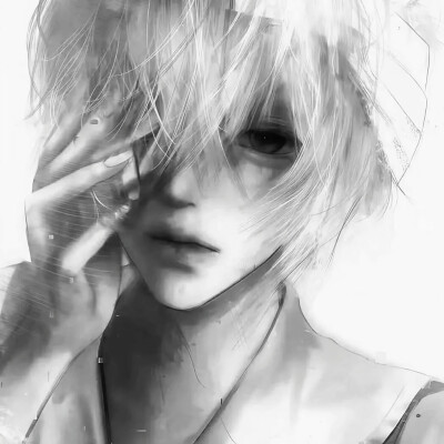 男头 权威 帅 动漫 鲁路修 酷拉皮卡