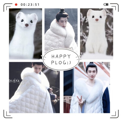 成毅两京十五日