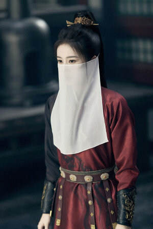 唐宫奇案之青雾风鸣  李佩仪