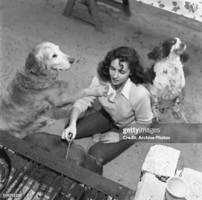 Elizabeth Taylor ​​​