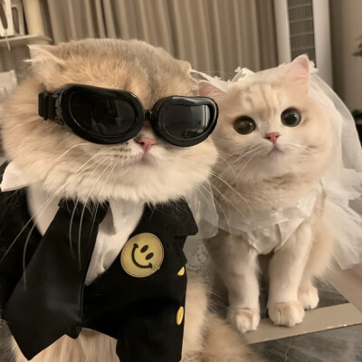 所有可以分享的瞬间我想到的都是你