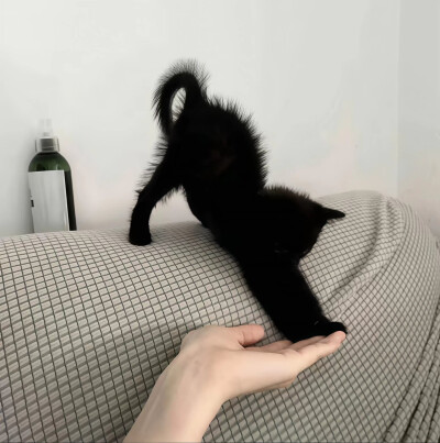 所有可以分享的瞬间我想到的都是你