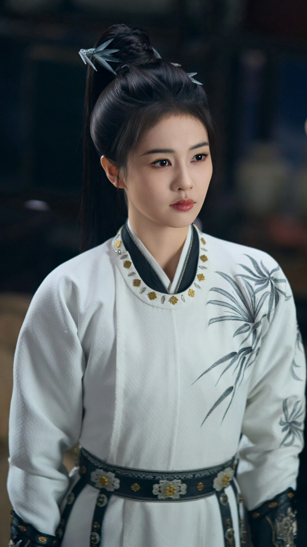 唐宫奇案之青雾风鸣 李佩仪 白鹿