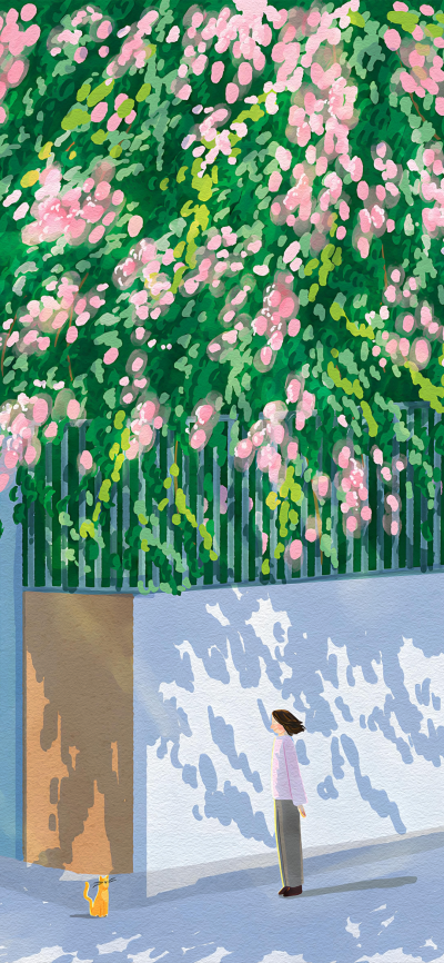 春暖花开
图片来自网络，侵删