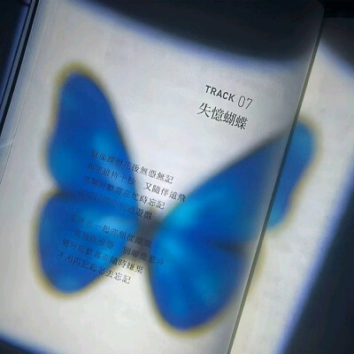 落日溺在云层里月光散落森林里 