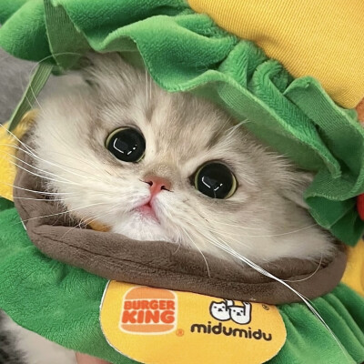 所有可以分享的瞬间我想到的都是你