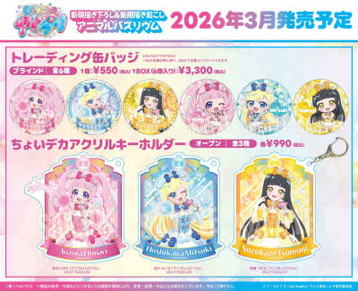 秘密的偶像公主