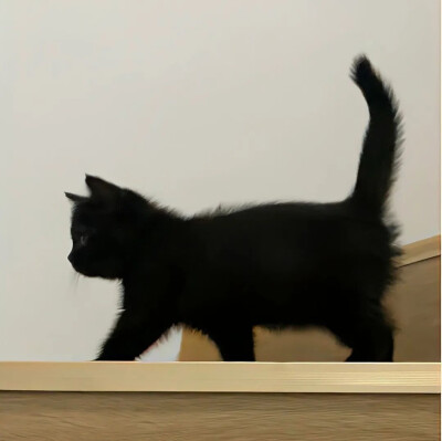 所有可以分享的瞬间我想到的都是你