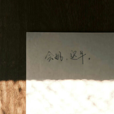 落日溺在云层里月光散落森林里 