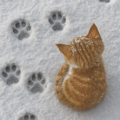 所有可以分享的瞬间我想到的都是你