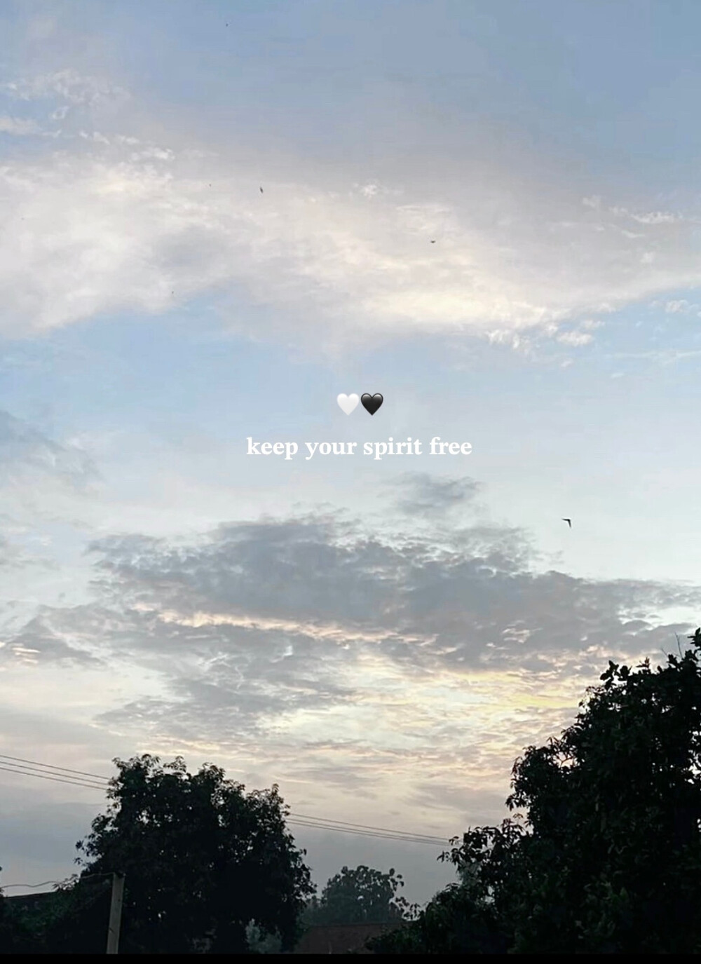 傅芷给我的元英～