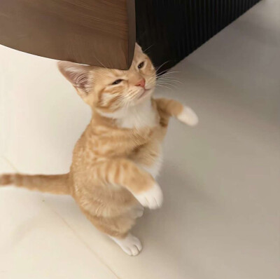 所有可以分享的瞬间我想到的都是你