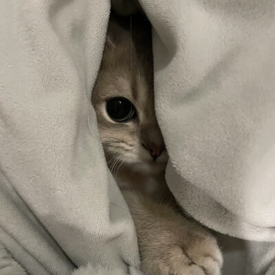 所有可以分享的瞬间我想到的都是你