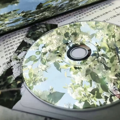 落日溺在云层里月光散落森林里 