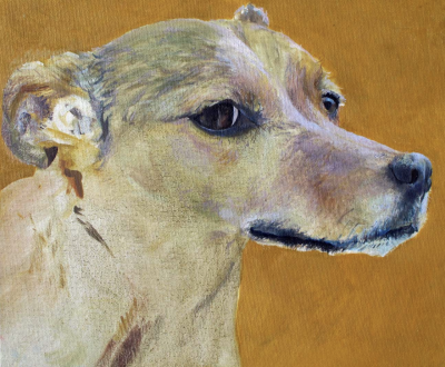 弗朗西丝·博登是一位活跃于英格兰西南部德文郡的英国当代肖像与自画像画家，同时也是加拿大Alexander Technique（亚历山大技巧）认证教师。