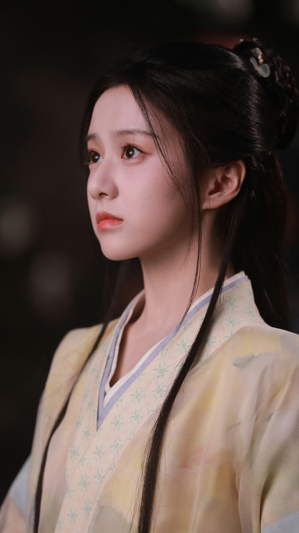 江湖夜雨十年灯 蔡昭 包上恩