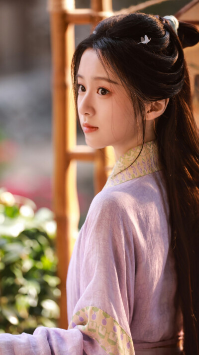 江湖夜雨十年灯 蔡昭 包上恩