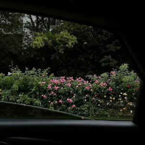 朋友圈背景图 氛围感