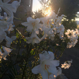 朋友圈背景图 氛围感