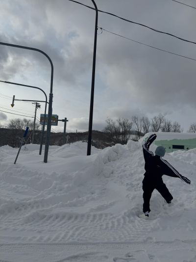 尹净汉 260214 wvs更新