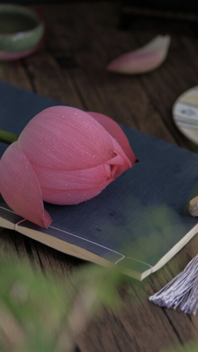 月影清凉，荷香微醺醉荷塘