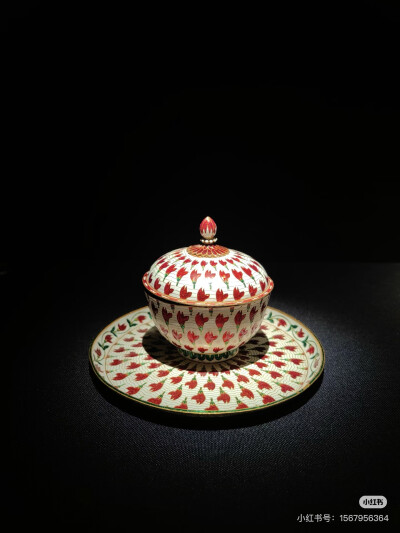 璀璨-小红书转载