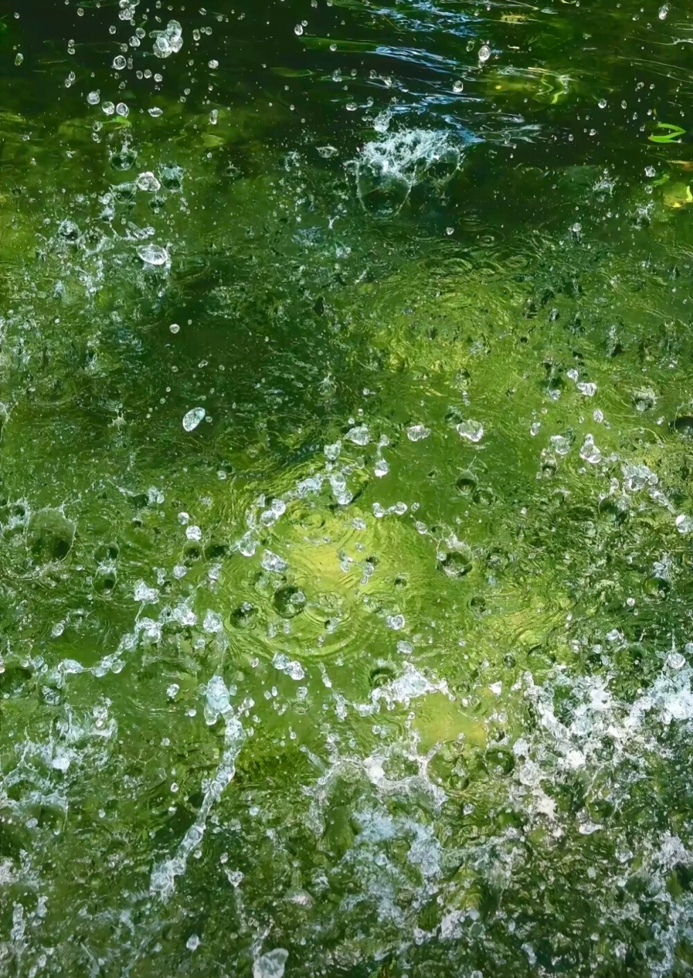 绿色系壁纸