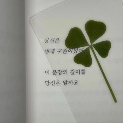 四叶草背景图 绿色系背景图