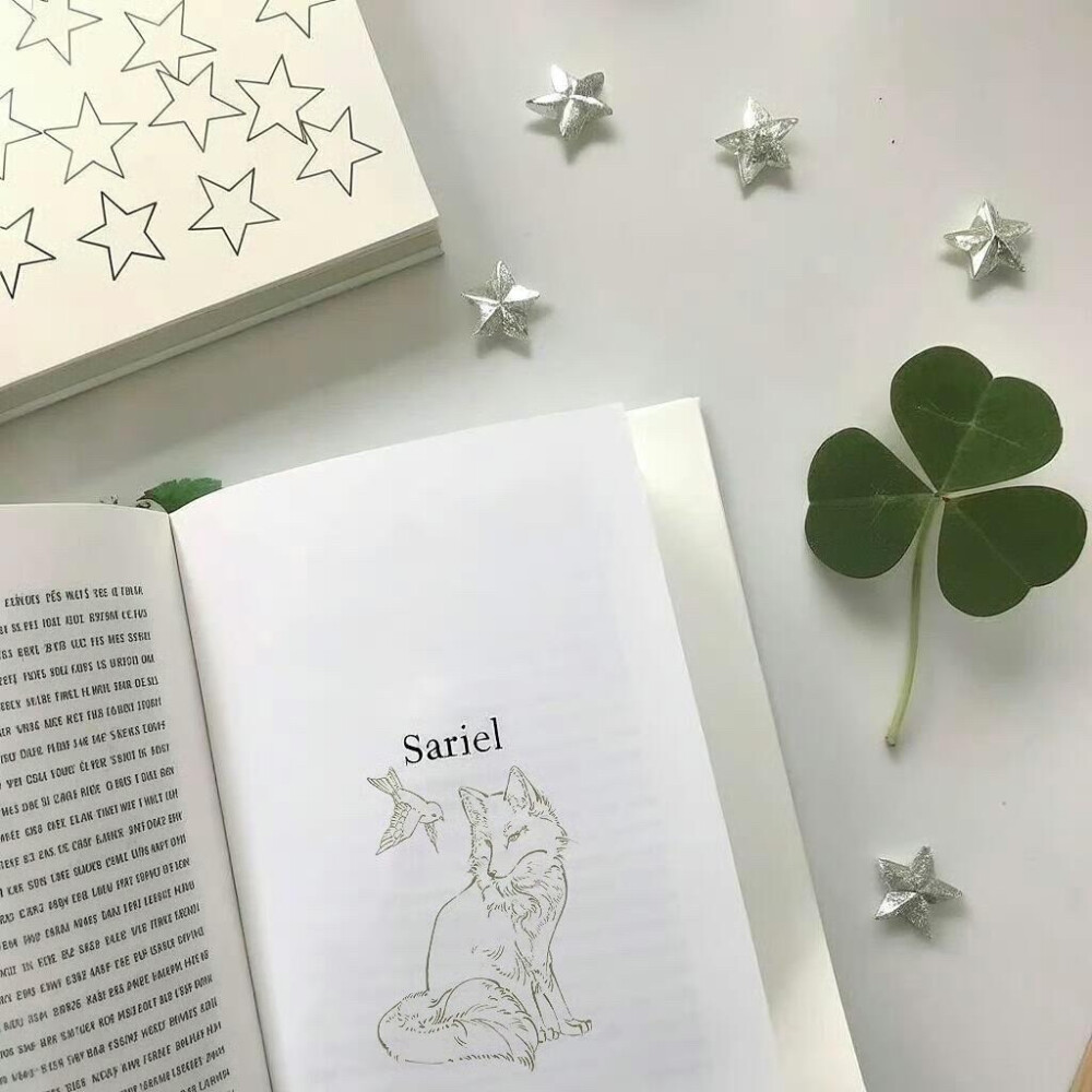 四叶草背景图 绿色系背景图