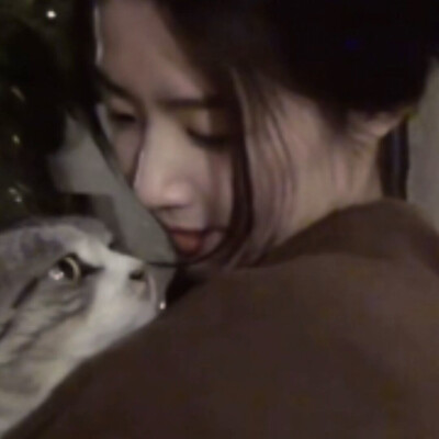 猫和你都想了解