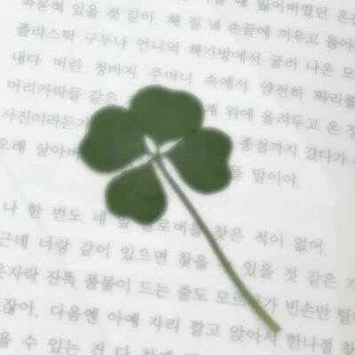 四叶草背景图 绿色系背景图