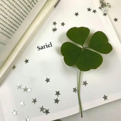 四叶草背景图 绿色系背景图