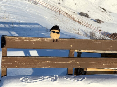 背景图 土豆万岁