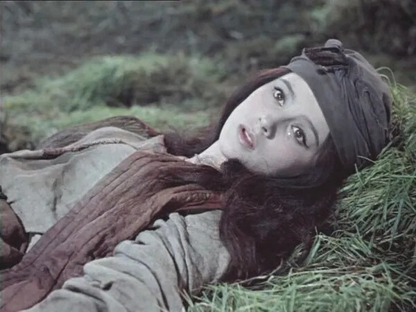 纳塔利娅·瓦利
Natalya Varley
1947年6月22日
罗马尼亚,康斯坦察
1967苏联电影《邪灵》