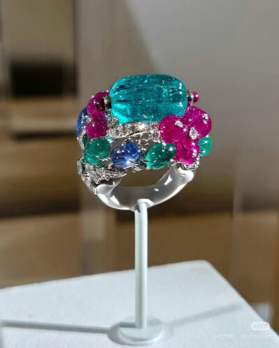 璀璨-小红书转载