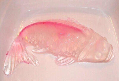 年年有鱼（余）