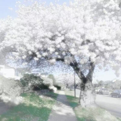 谭译小姐姐的美图