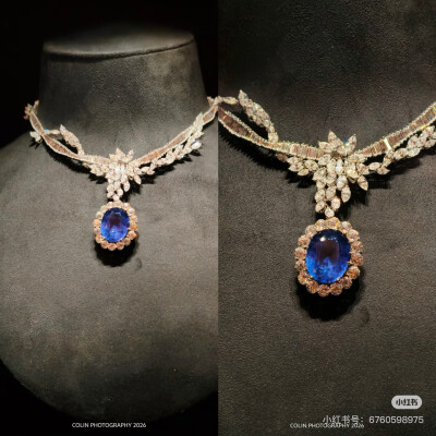 璀璨-小红书转载