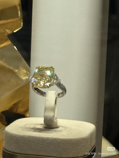 璀璨-小红书转载