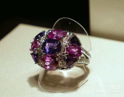 璀璨-小红书转载