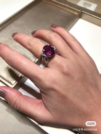 璀璨-小红书转载