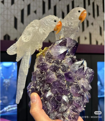 璀璨-小红书转载