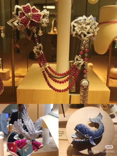 璀璨-小红书转载