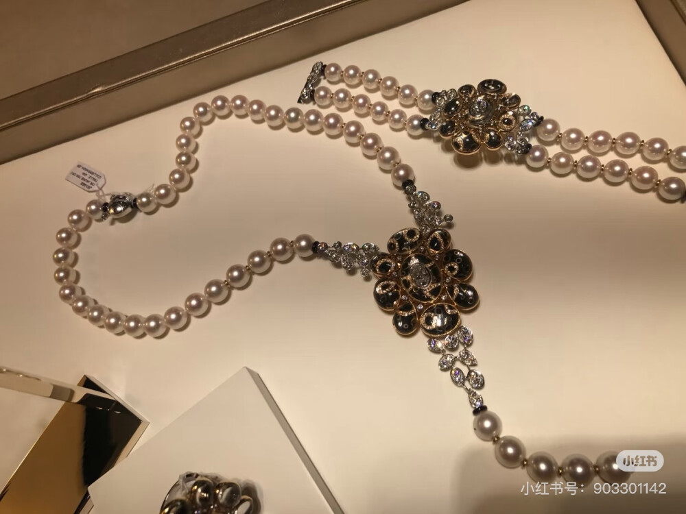 璀璨-小红书转载