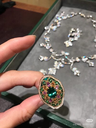 璀璨-小红书转载