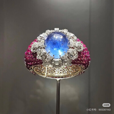 璀璨-小红书转载