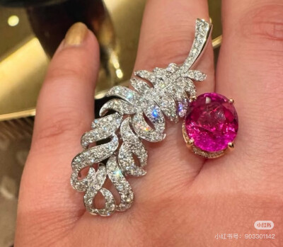 璀璨-小红书转载