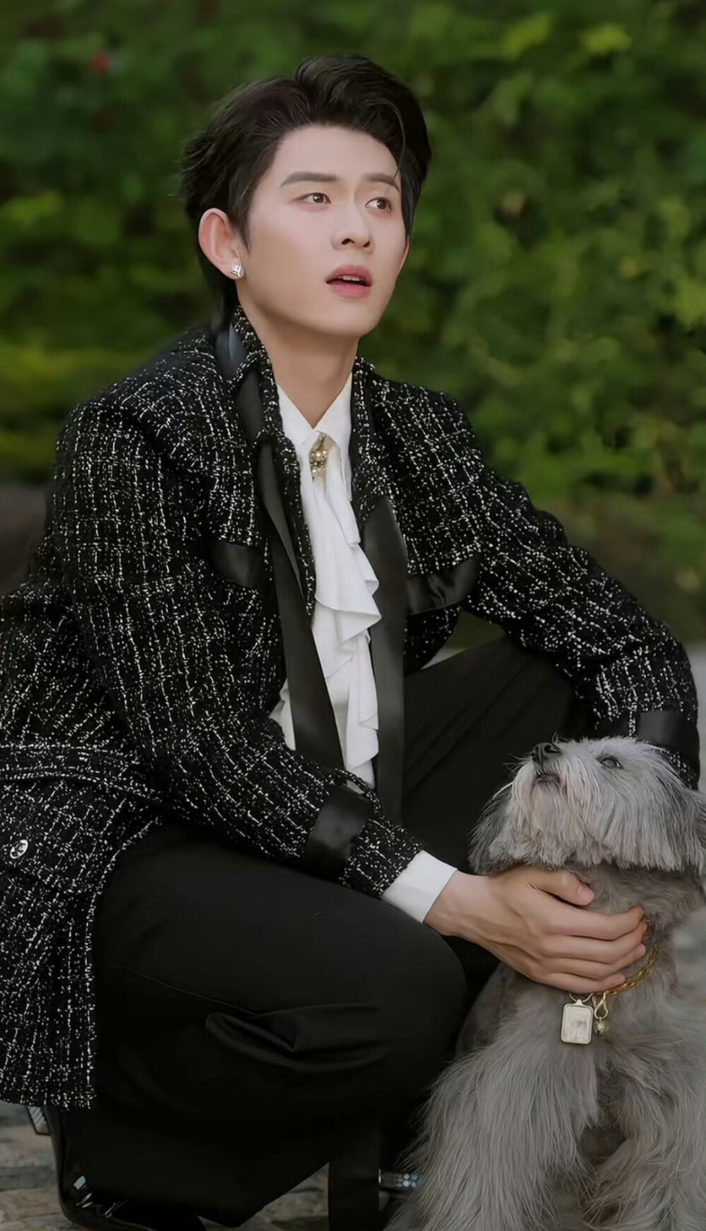 陈添祥/十八岁太奶奶驾到之重整家族荣耀4