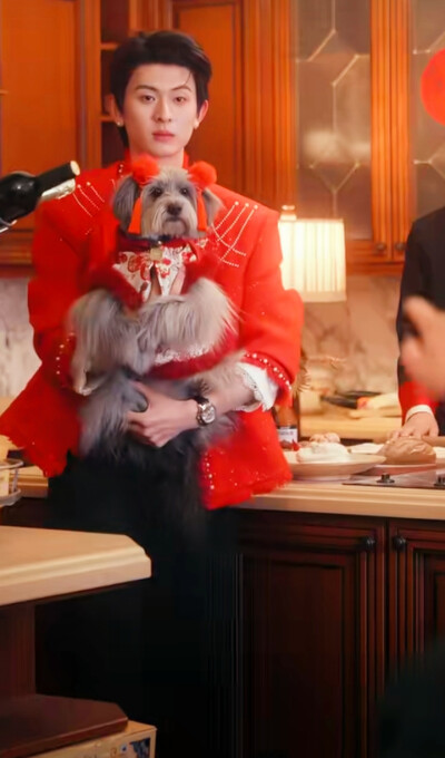 陈添祥/十八岁太奶奶驾到之重整家族荣耀